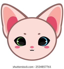 Cute Sphynx Cat with Two Colored Eyes