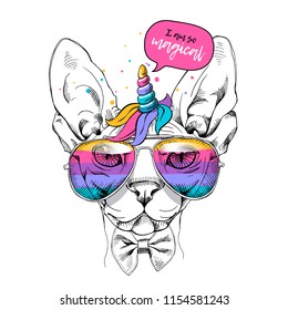 Cute Sphynx Cat in a unicorn mask: rainbow glasses, mane, horn. I am so magical - lettering quote. Humor card, t-shirt composition, hand drawn style print. Vector illustration.