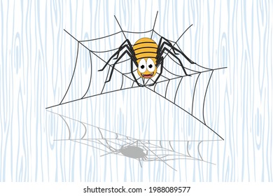cute spider animal cartoon, simple vector illustration