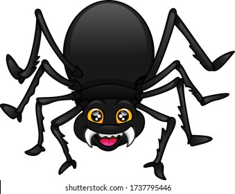cute spider cartoon on a white background