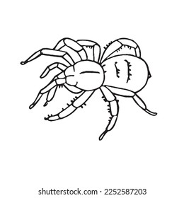 Cute spider With coloring book pages picture,spider line art,spider outline drawing vector illustration,spider vector art