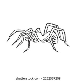 Cute spider With coloring book pages picture,spider line art,spider outline drawing vector illustration,spider vector art