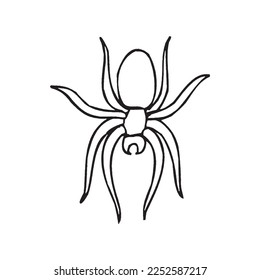 Cute spider With coloring book pages picture spider line art spider outline drawing vector illustration spider vector art
