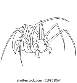 cute spider is crawling and scaring us