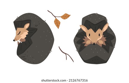 Cute Spiny Hedgehog Mammal and Autumn Leaf Vector Set