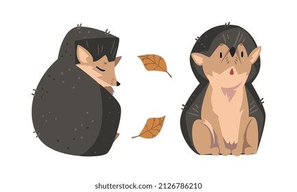 Cute Spiny Hedgehog Mammal and Autumn Leaf Vector Set