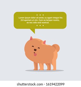 cute spitz dog with chat bubble speech furry human friend home pet concept cartoon animal full length vector illustration