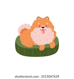 Cute Spitz dog lies on the green dog bed. Pomeranian German breed puppy resting. Cartoon friendly small fluffy ginger pet. Vector domestic canine purebred animal with comfortable crib accessory