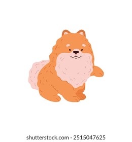 Cute Spitz dog raised his paw. Pomeranian German breed puppy. Cartoon friendly small fluffy orange pet. Domestic canine purebred animal portrait. Vector flat illustration isolated on white background