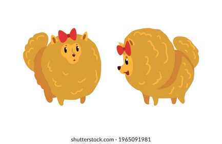 Cute Spitz Dog Set, Lovely Fluffy Pet Animal Vector Illustration