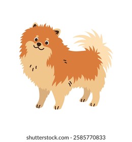 Cute spitz dog standing. Pet, breed. Isolated flat vector illustration