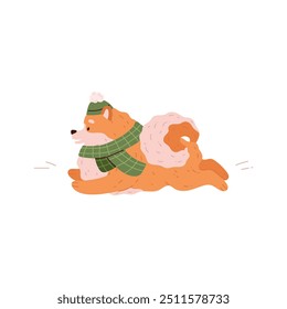 Cachorro Spitz bonito usando um chapéu e cachecol correndo. Cachorro da raça alemã da Pomerânia. Cartoon amigável pequeno peludo laranja animal de estimação. Retrato animal doméstico de raça pura canina. Ilustração plana de vetor isolada