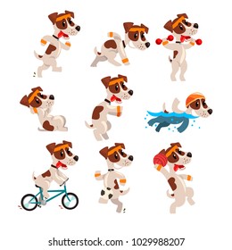 Cute sportive jack russell terrier set, funny pet dog character doing various kinds of sports vector Illustrations