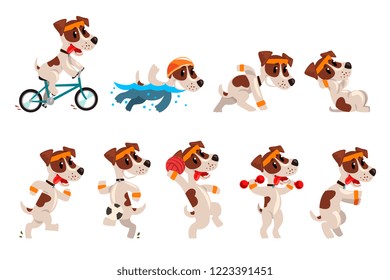 Cute sportive jack russell terrier set, funny pet dog character doing various kinds of sports vector Illustrations