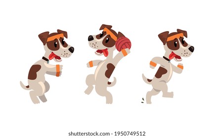 Cute Sportive Jack Russell Terrier Running and Playing Ball Vector Set