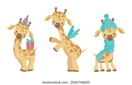Cute Spotted Baby Giraffe with Long Neck Wearing Scarf and Carrying Gift Box Vector Set