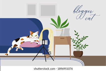 A cute spotted blogger cat lies on a pillow in the middle of a blue couch in front of a phone in a vet room. Live stream, take a photo, take a selfie, record a podcast. New professions internet banner