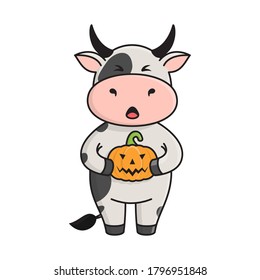 Cute spotted bull or cow holds Jack-o'-lantern pumpkin, a symbol of Halloween. Ox is a symbol of the New year 2021 according to the Eastern calendar. Vector stock flat illustration isolated on white.