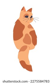 cute spotted cat icon isolated