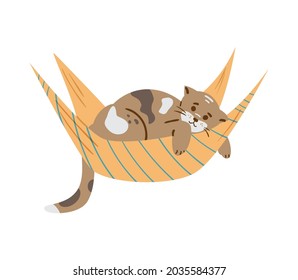 gato manchado en hamaca, ilustración vectorial plana. Aislado en blanco.
