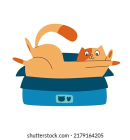 Cute Spotted Cat Playing in the Post Mail Box. Vector Flat Illustration, Isolated, Cartoon, Clipart.