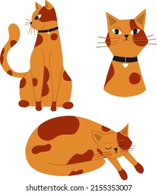 Cute spotted cat in three poses.