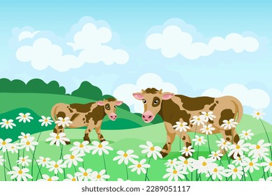 Cute spotted cows in a field of daisies, summer landscape. Poster, banner, illustration, vector