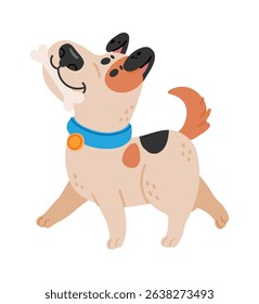 Cute spotted dog wearing a blue collar and orange tag joyfully walking while carrying a big white bone in its mouth, radiating happiness and playful energy