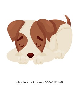 Cute spotted puppy is sleeping. Vector illustration on white background.