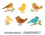 Cute spring birds collection in flat cartoon style. Colorful isolated elements for seasonal design projects.