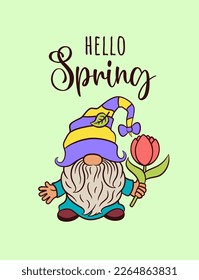 Cute spring card design with gnome. Hello spring text calligraphic. Cartoon garden gnome holding tulip spring flower. Adorable character swedish dwarf. For spring Easter greeting card, print, sign.