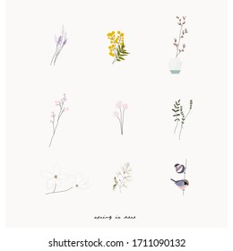 cute spring clip art  elements with hand drawn textures