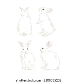 Cute spring Easter bunny hand drawn vector illustration set isolated on white. Vintage classic aesthetic print.