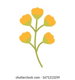 cute spring flower on white background vector illustration design