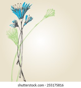 Cute spring flowers background
