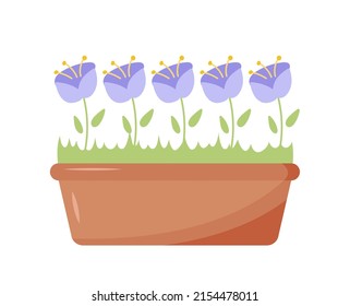 Cute spring flowers in pot vector. Flower spring, flower pot, floral plant, nature flower blossom, bellflowers illustration. Home and office interior design elements