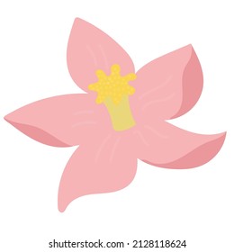 süße Frühlingsrosa Blume mit gelbem Zentrum, süßes, flaches Vektorelement einzeln