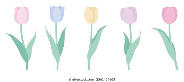 Cute spring tulips vector illustration