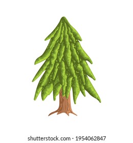 Cute spruce with a lush green foliage and roots. Isolated object in the white background. Flat style illustration.