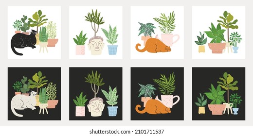 Cute square cards with planted pots and cats. Ready designs with white and black background. Cozy home, hygge, urban jungle illustration vector set. For greeting cards, prints, social media, scrapbook