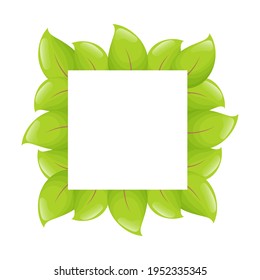 Cute square frame template with green leaves and copy space. White background. Flat style illustration.