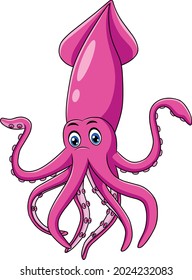 Cute Squid cartoon aquatic animal vector illustration