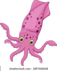 Cute squid cartoon isolated on white background