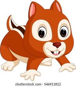 Cute squirrel