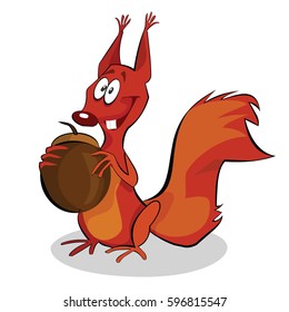 Cute squirrel