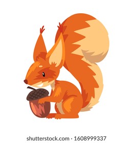 Cute Squirrel with Acorn, Funny Little Orange Rodent Animal Cartoon Character Vector illustration