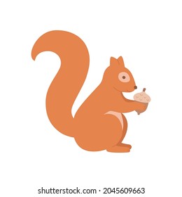 Cute squirrel with acorn isolated on a white background.