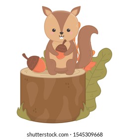 cute squirrel with acorns stump foliage hello autumn vector illustration