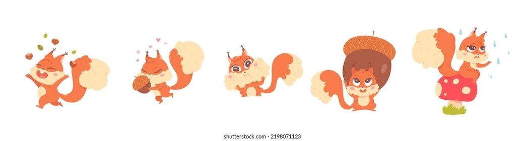 Cute squirrel actions set vector illustration. Cartoon isolated orange squirrel playing with oak acorn, happy forest fluffy animal with autumn nut harvest and sad adorable wild character in rain