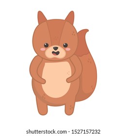 cute squirrel animal on white background vector illustration